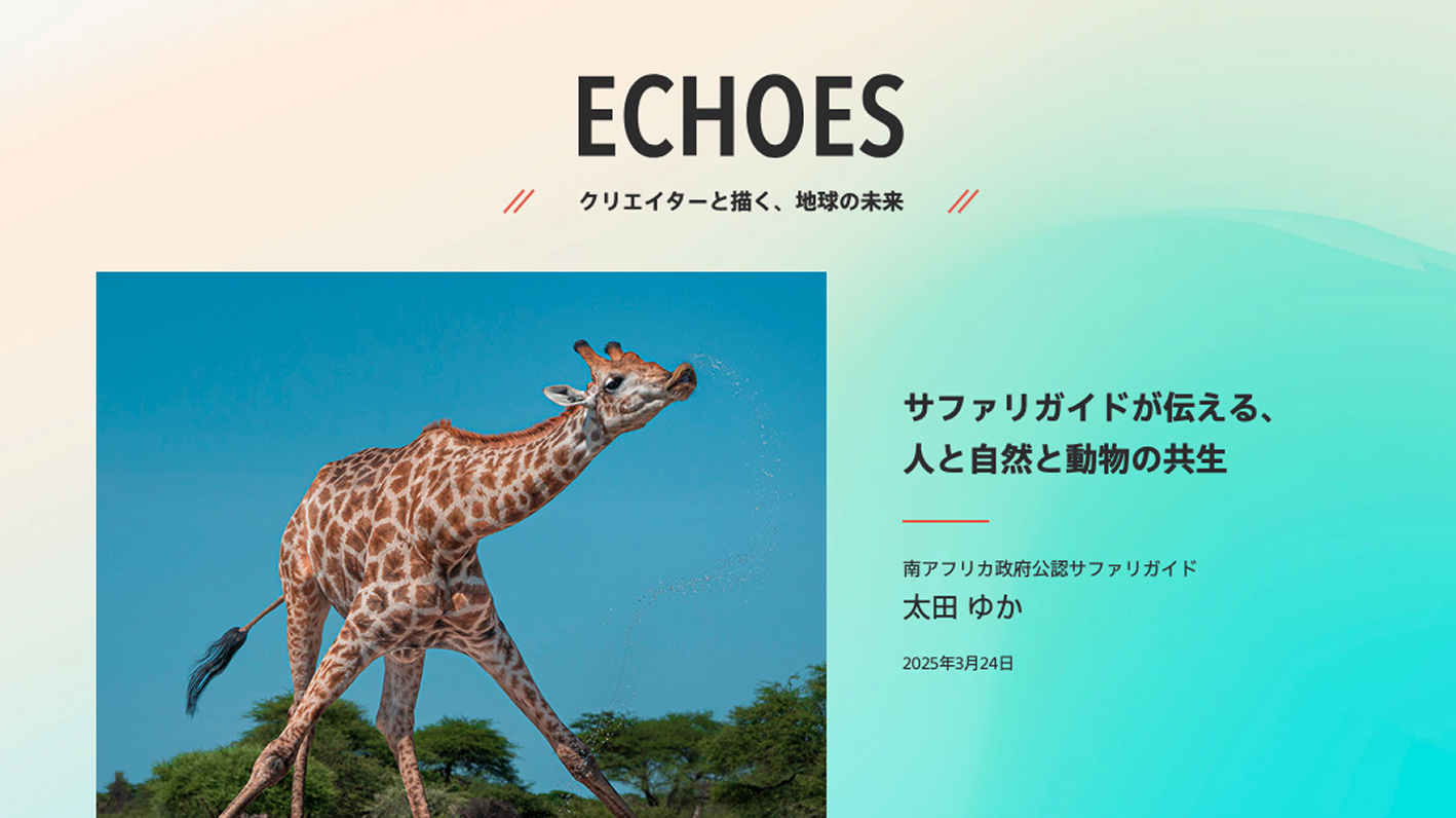 サファリガイドが伝える、人と自然と動物の共生　南アフリカ政府公認サファリガイド　太田 ゆか